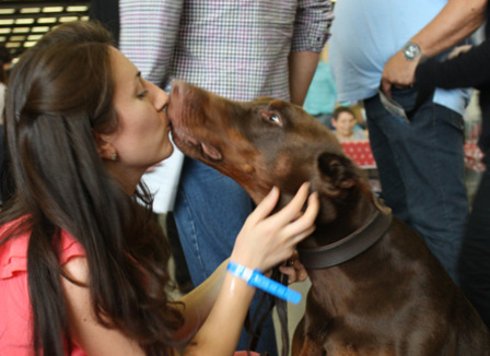 World-dog-show