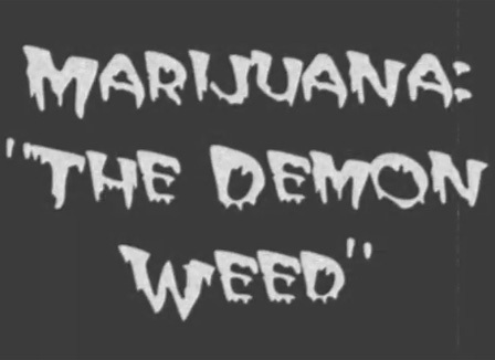 5-clips-de-prevention-qui-te-donneront-envie-de-fumer-du-cannabis
