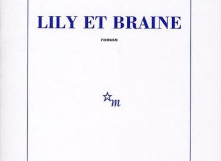 critique-bouquin-lily-et-braine-de-christian-gailly